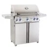 American Outdoor Grill 30 Inch Gas Grill On Cart 1 American Outdoor Grill 30 Inch Gas Grill On Cart -Party Bbq 30pcl l series port a 03 20