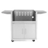 Blaze Cart For Premium LTE Griddle -Party Bbq blz griddle cart sc a 03 23