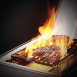 Napoleon RSE425RSIBSS Rogue SE 425 Gas Grill On Cart With Infrared Side And Rear Burners, 23.75-Inches 13 Napoleon RSE425RSIBSS Rogue SE 425 Gas Grill On Cart With Infrared Side And Rear Burners, 23.75-Inches -Party Bbq rse625rsibpss feat d 07 20