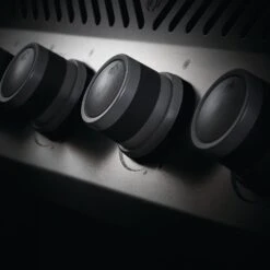 Napoleon RXT425SS Rogue XT 425 Gas Grill On Cart, 23.75-Inches 12 Napoleon RXT425SS Rogue XT 425 Gas Grill On Cart, 23.75-Inches -Party Bbq rxt ss feature 3 01 20