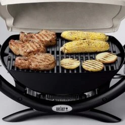 Weber Q1000 Portable Propane Gas Grill (WEB-50060001) -Party Bbq web 50060001 feat a 05 22