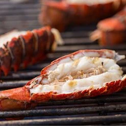 Weber Summit 4-Burner Built-In Gas Grill With Rotisserie, Sear Station And Access Doors (WEB-S-460) -Party Bbq web s 460 feat d 05 22